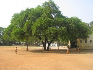 School Playground